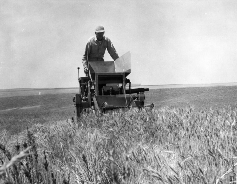 Man using plot combine in a field.