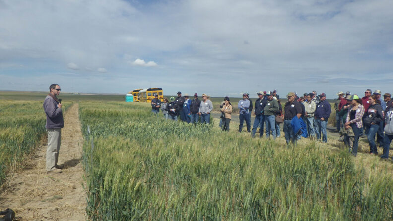 Arron Carter standing in a field addressing the crowd.