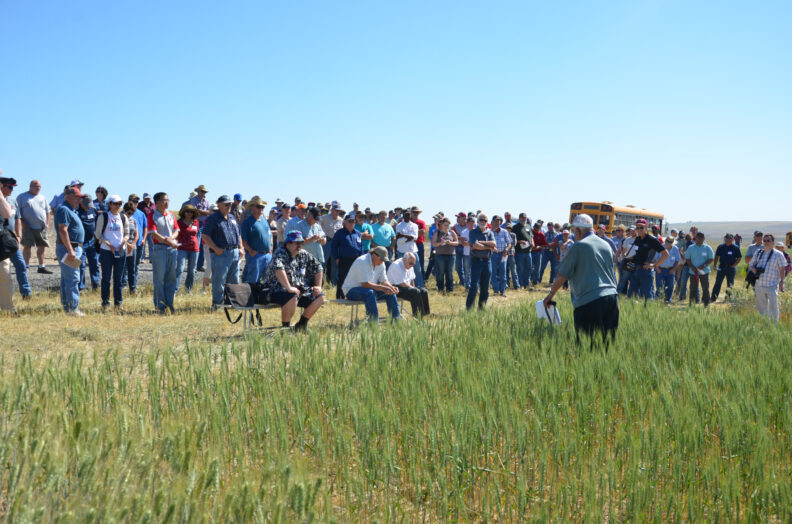 Bob Papendick in a field giving his presenation.