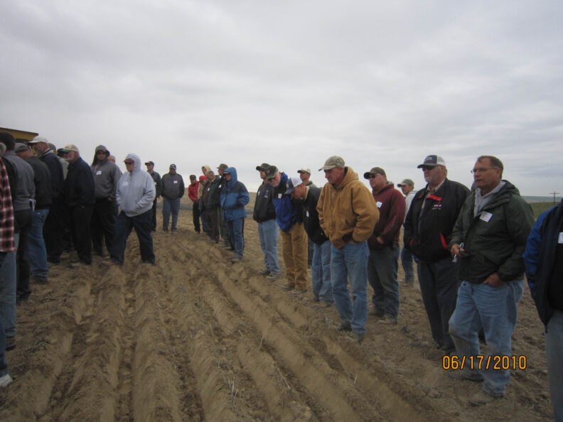 People standing in a field.