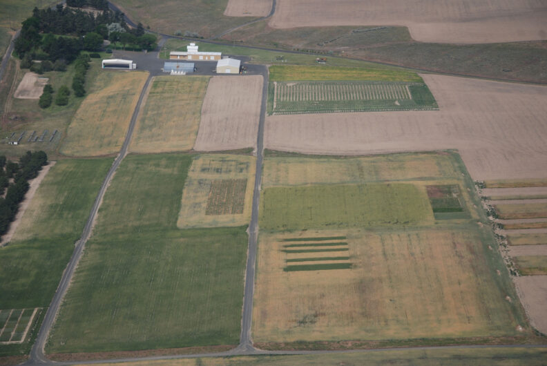 Aerial view of plots.