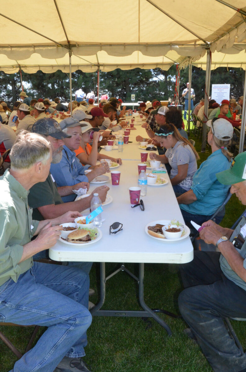 People at tables eating lunch.