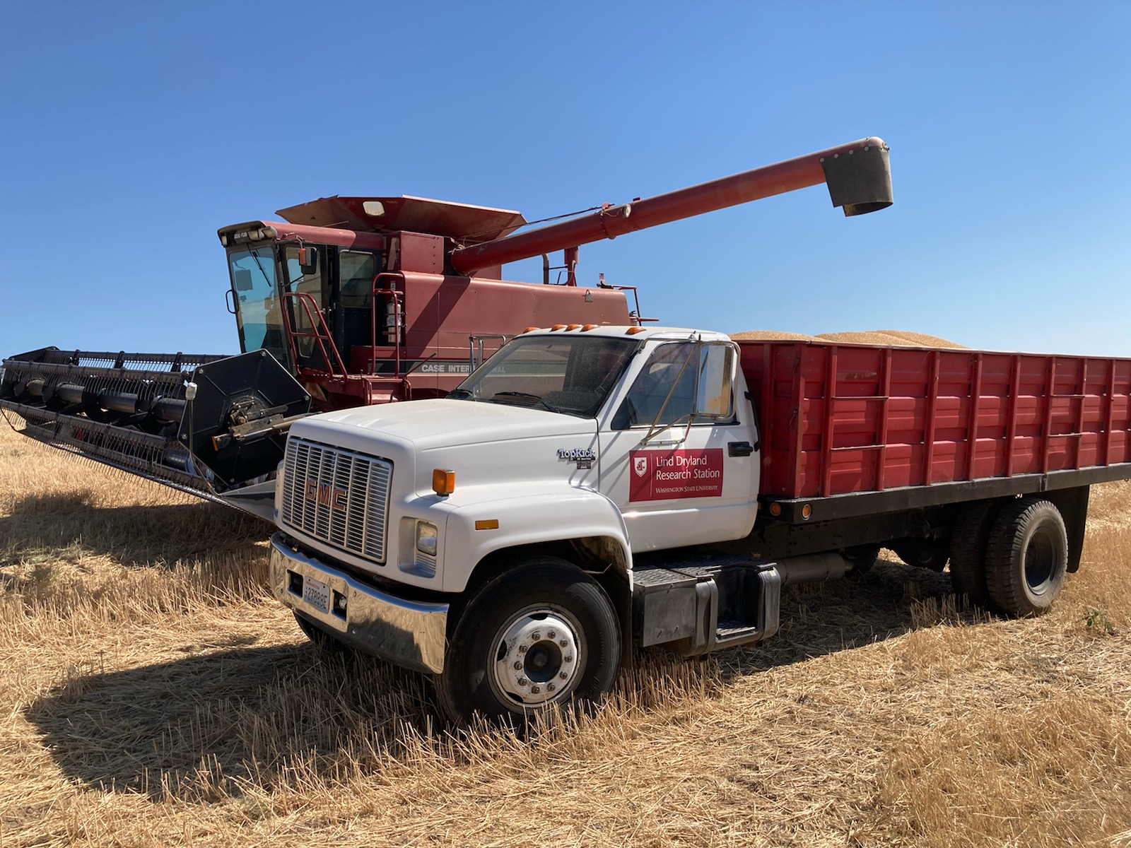 Wheat truck and combine during harvest.