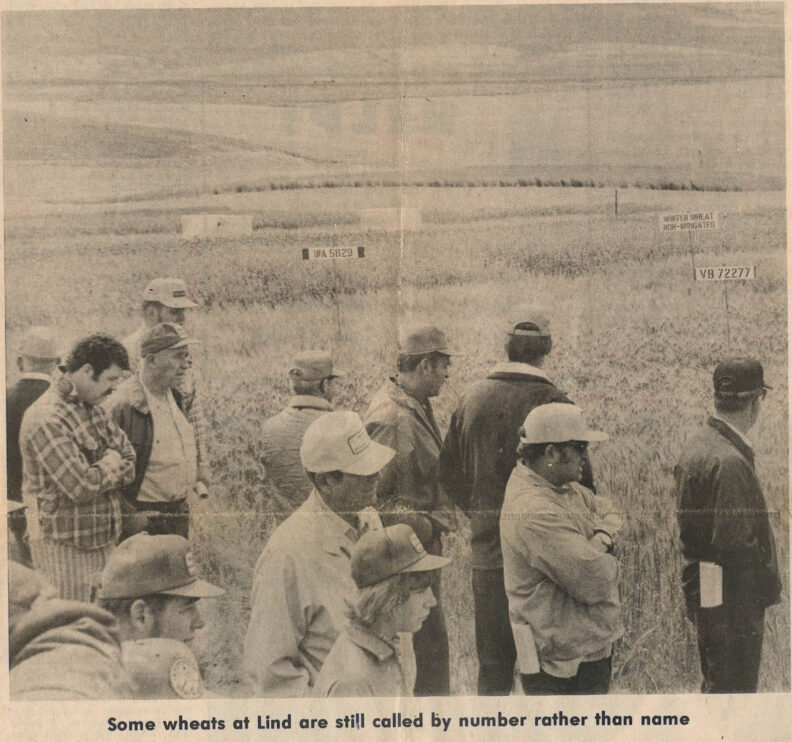 Men standing in a field.