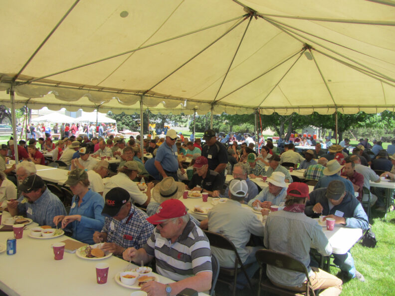 Attendees sitting at tables.