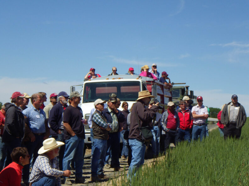 Attendees standing and in the back of a truck.