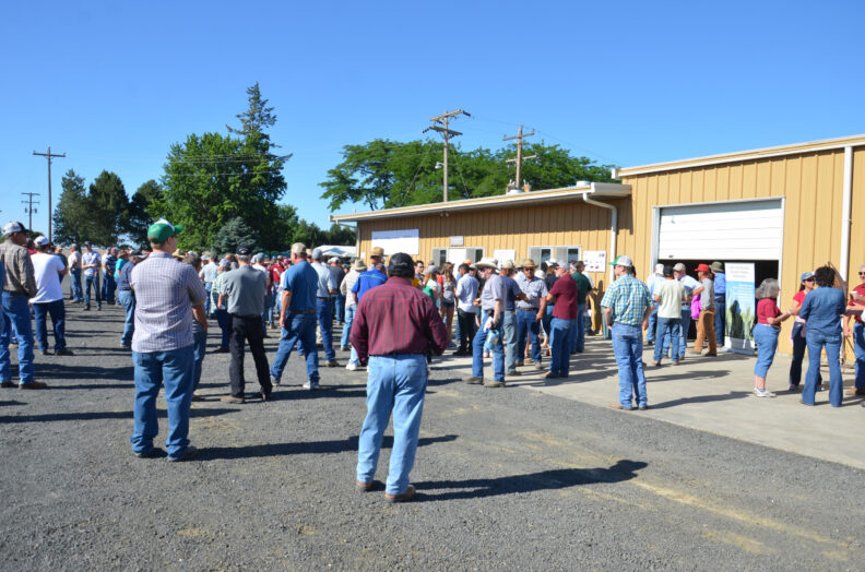 Attendees standing around the yard during registration.