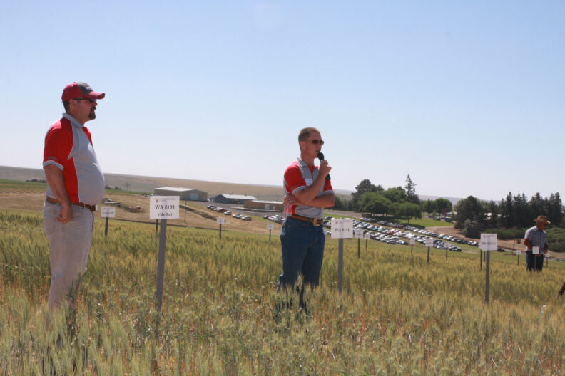 Ryan Higginbotham and Mike Pumphrey standing in wheat plots.