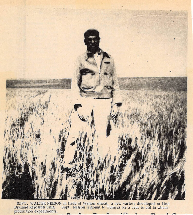 Man standing in a wheat field.