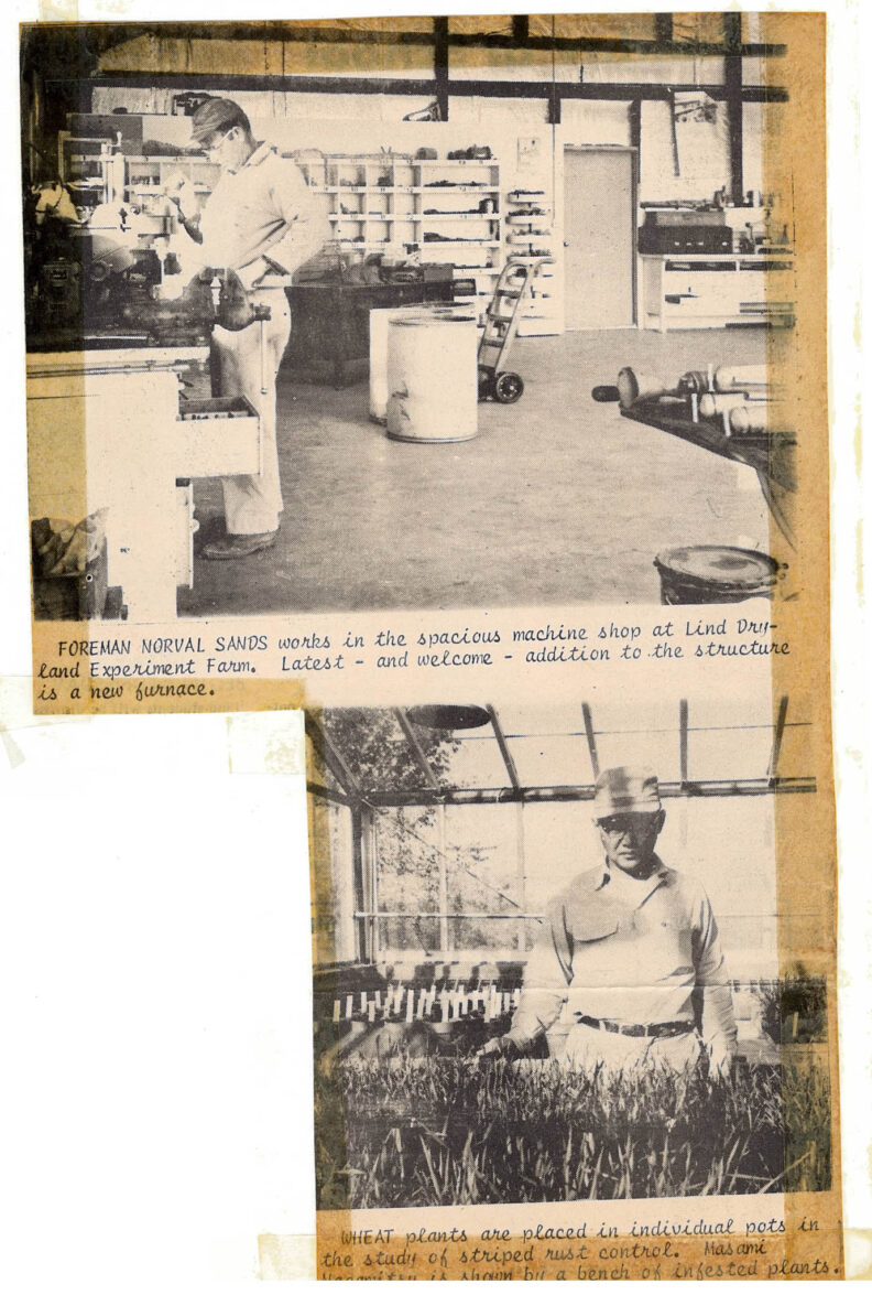 Photos clipped from the newspaper from the 1960s.