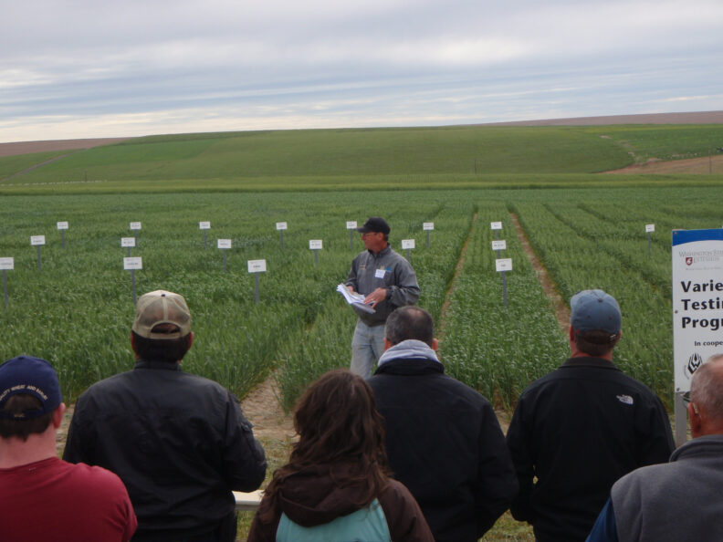 Variety testing plots at the 2011 Field Day.