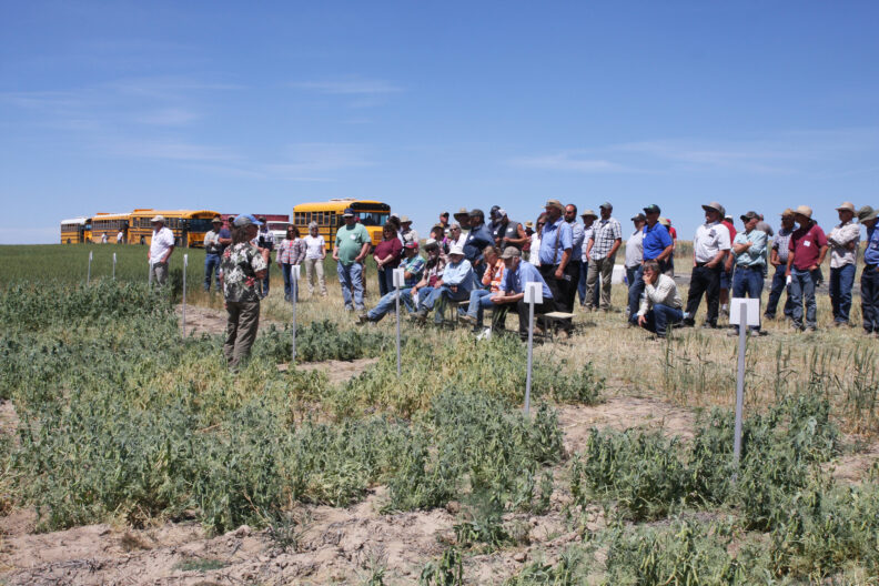 Attendees learning about winter peas.