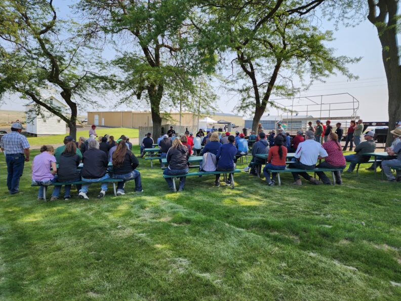 Field stop in the yard.