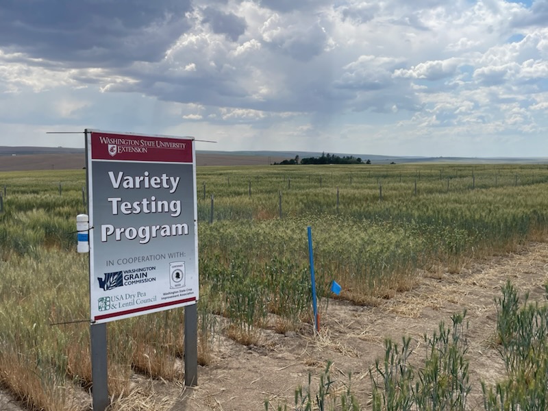 A field with a variety testing sign.