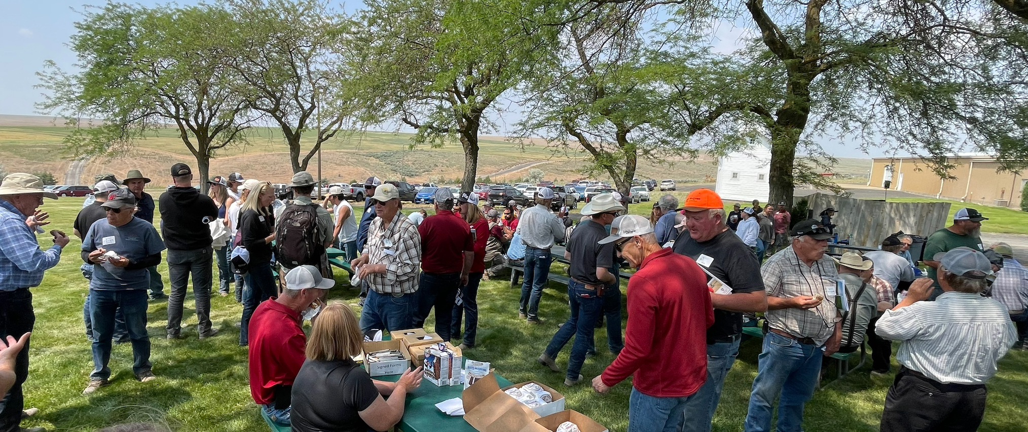 People standing around the yard.