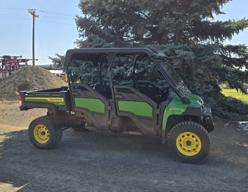 Gator in front of a tree.
