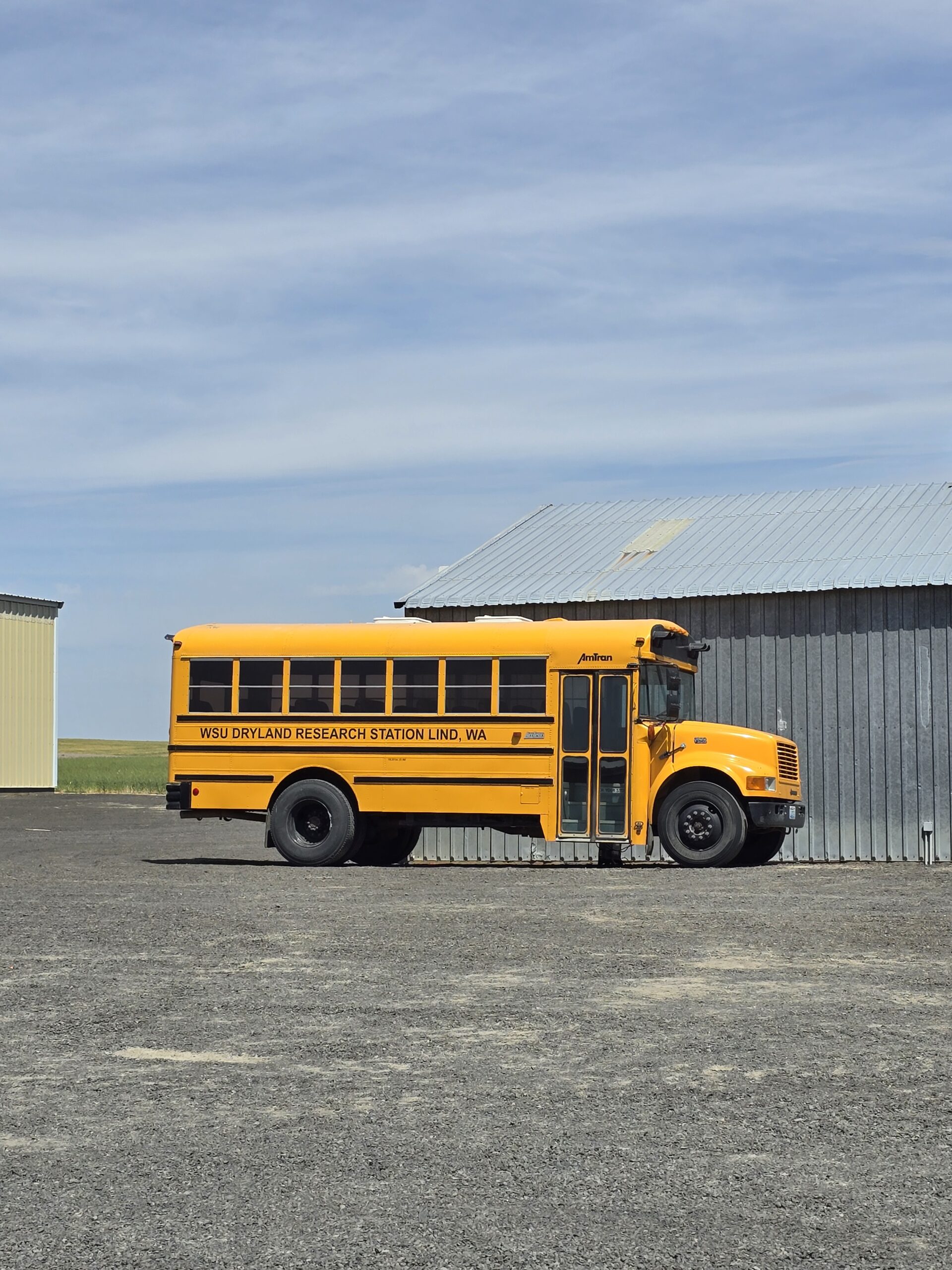 School bus parked outside.