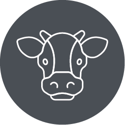 Calf Icon