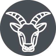 Goat icon