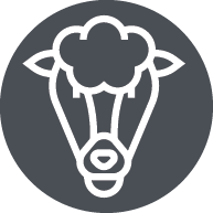 Sheep icon