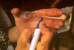 Person labeling an intramammary tube.