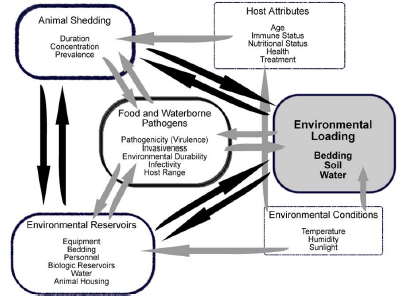 Complicated flow chart. Please reach out to us if you need a full written description.