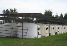 Two rows of hutches in a grassy field with a structure over it to provide shade.