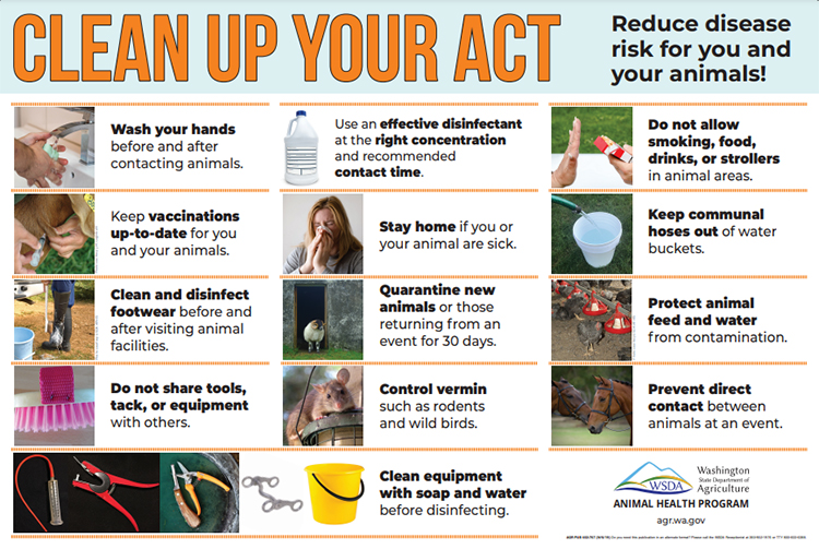 Poster to promote precautions that can reduce the risk of disease.