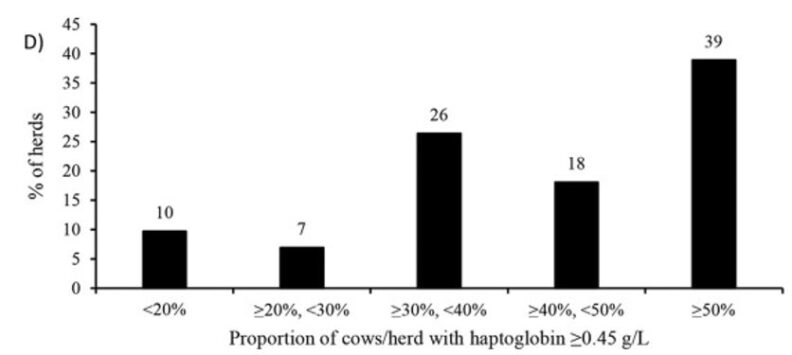 Bar chart. % of herds on the Y axis, Proportion of cows/herd with haptoglobin  on X axis. Please reach out if you need a detailed translation.