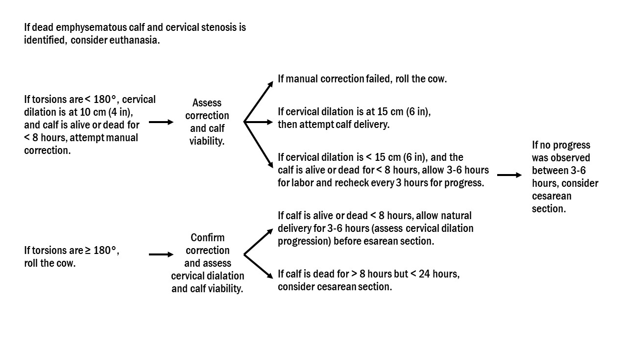 Please reach out if you need a detailed translation of this decision tree.