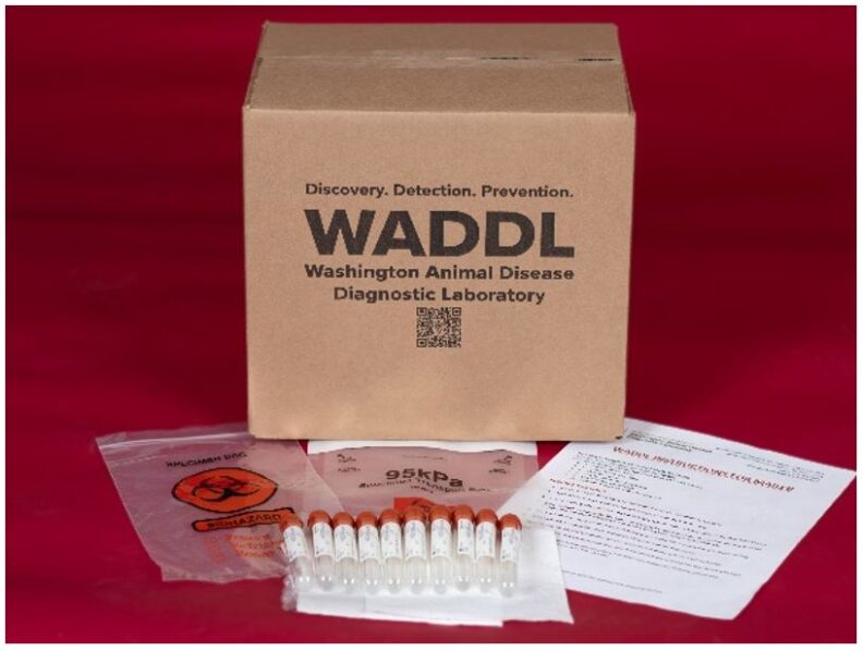 Packing box and its contents laid out on a red background.