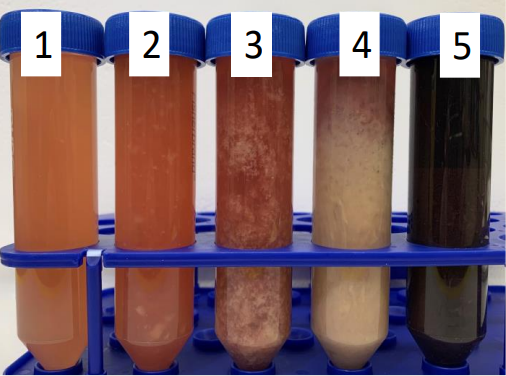 Five tubes numbered with one on the left. Each is a distinct color, generally, lighter to darker, left to right.
