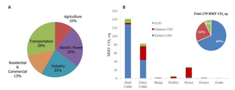 Pie chart. (A) Transportation 28%, Electric Power 25%, Industry 23%, Residential & Commercial 13%, Agriculture 10%. (B) Bar and pie chart. Reach out if you need the details.