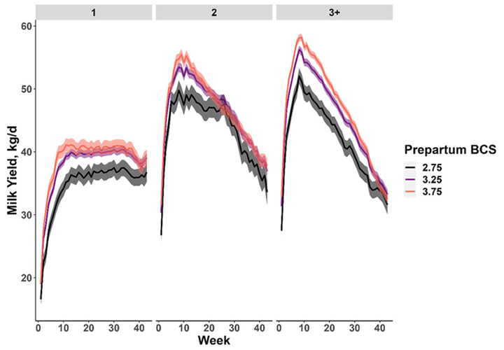 Chart diagramming what is explained in the following Figure 3 paragraph.