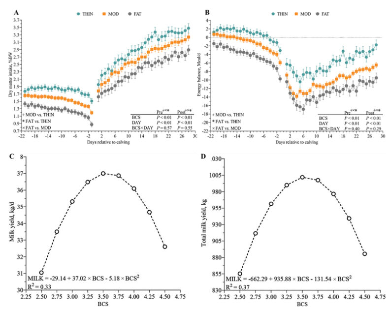 Four diagrams explained in the following Figure 7 paragraph.