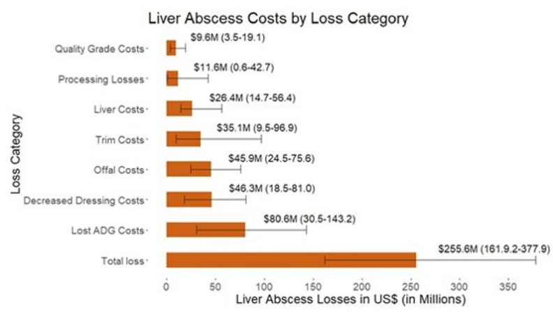 Bar chart illustrating loss compared to category.
