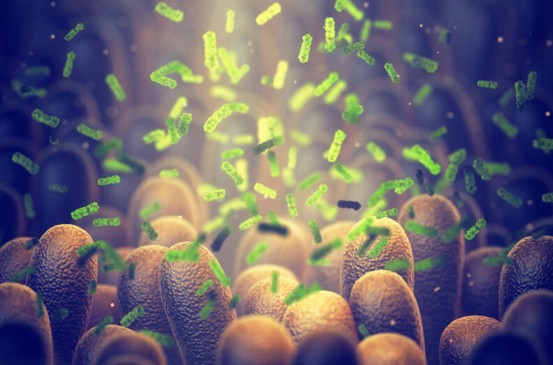 A computer generated image of Intestinal bacteria and the gut microbiome.