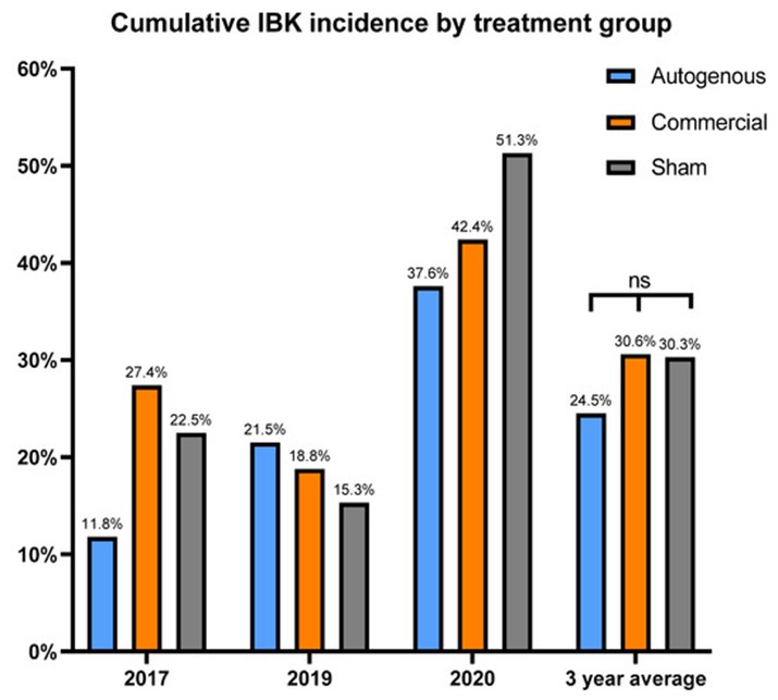 Bar chart illustrating the cumulative IBK incidence by treatment groups.