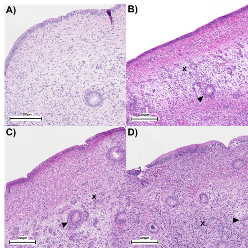 Figure 1. Full description in paragraph that follows.