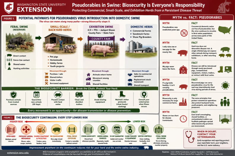 Complicated diagram illustrating how prevention is everyone's responsibility.