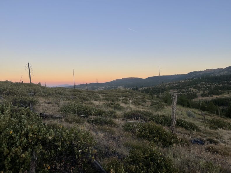 A field site at sunrise in a post-fire landscape
