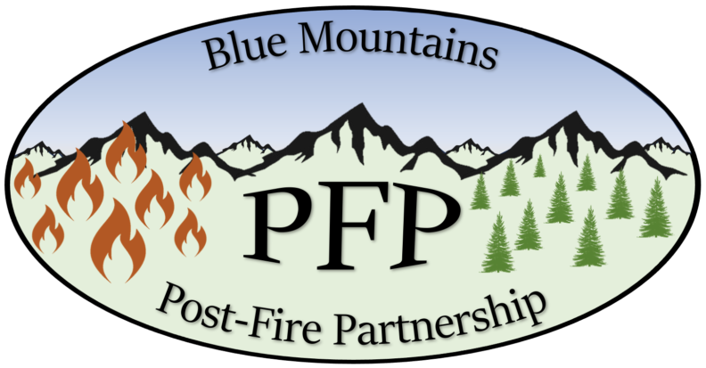 Blue Mountains Post-fire Partnership