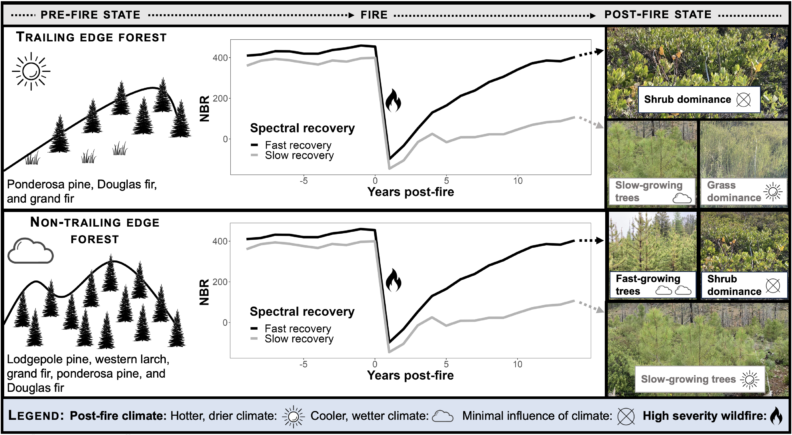 Graphical abstract, link leads to media file