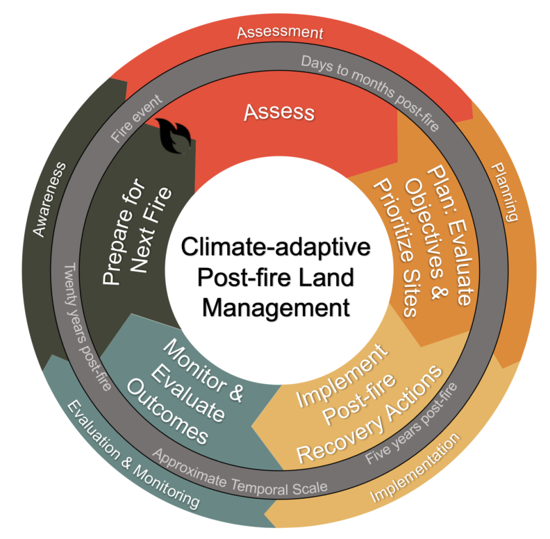 Linked to media file