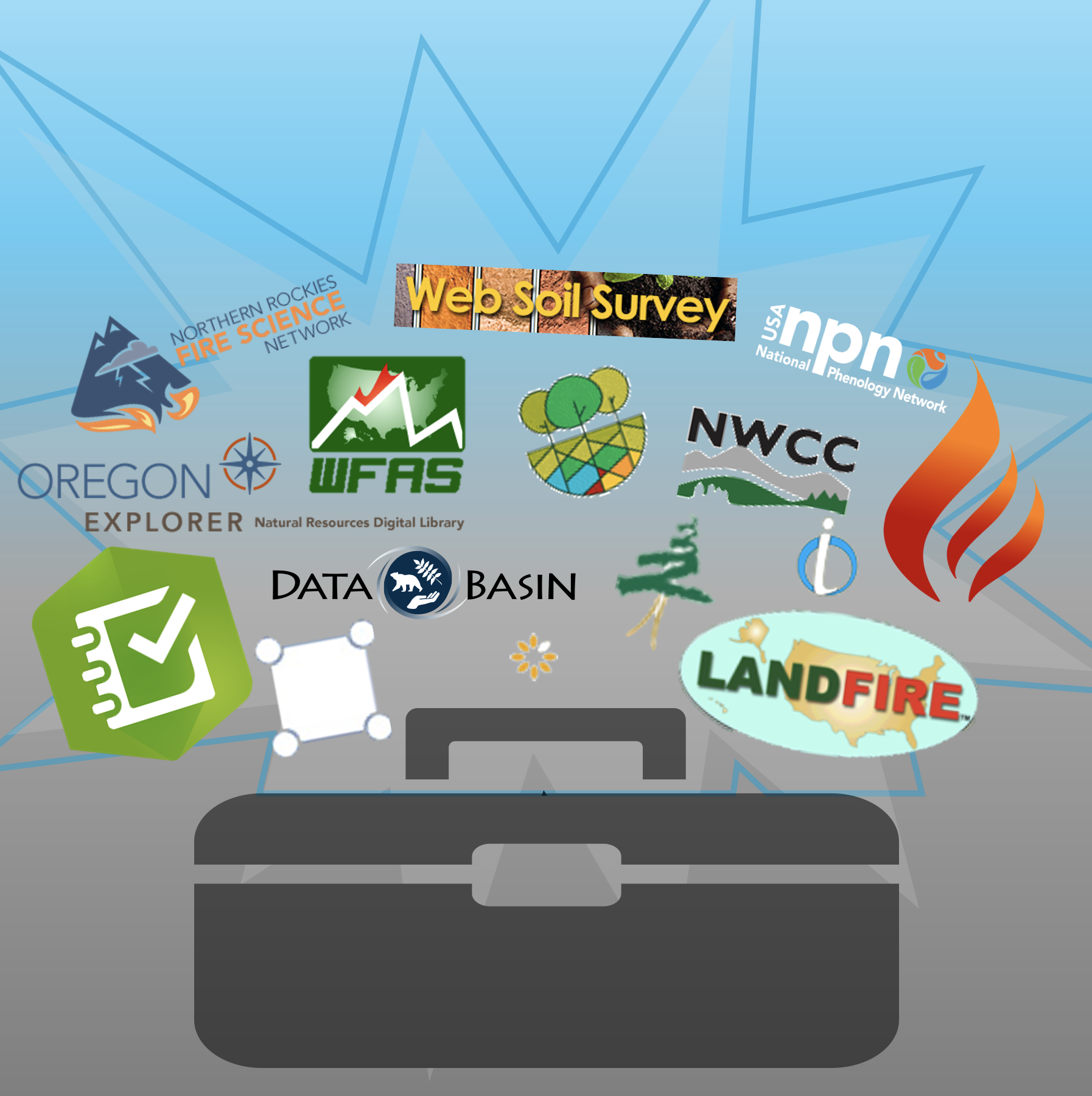 Toolbox overflowing with various decision support tools