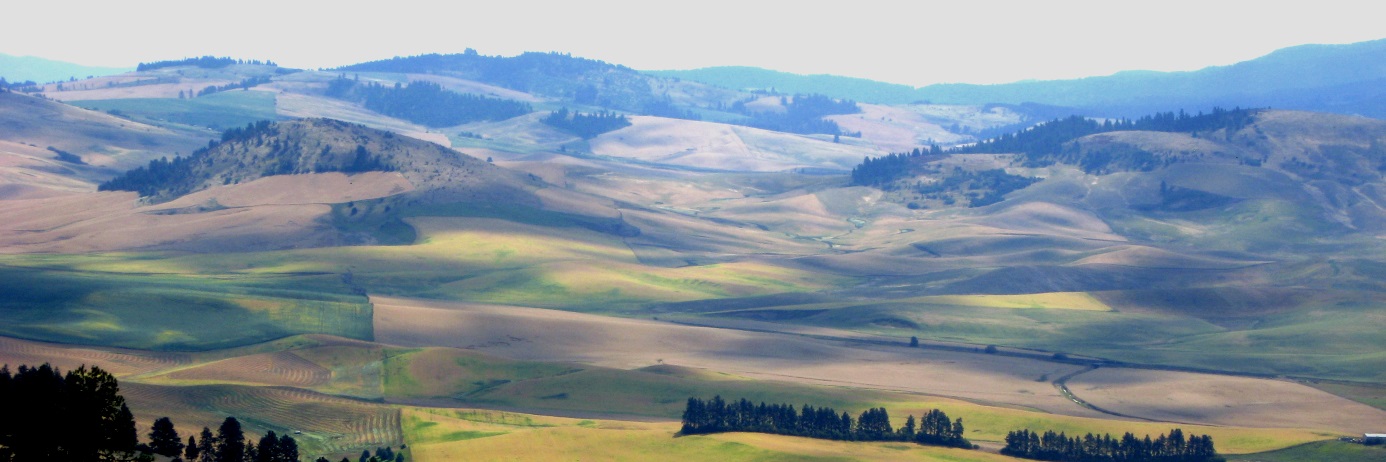 Rolling hills of the Palouse
