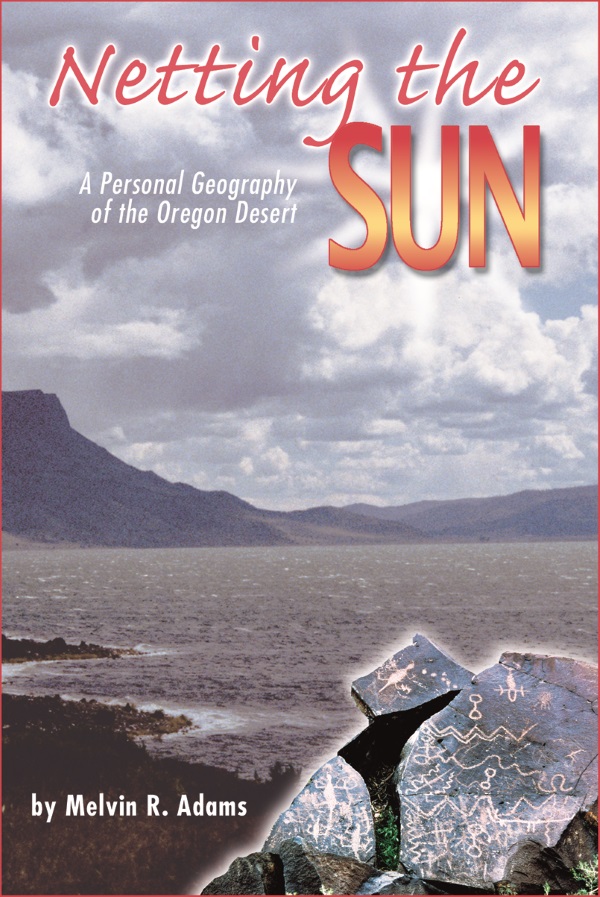 Netting the Sun cover