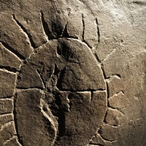 Archaeology / Prehistory