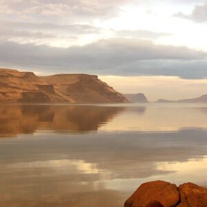 Nature / Environment