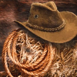 Novels / Western Literature